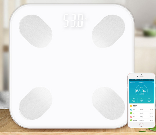 Innate Clinical Wellness Bluetooth Electronic Smart Body Scale